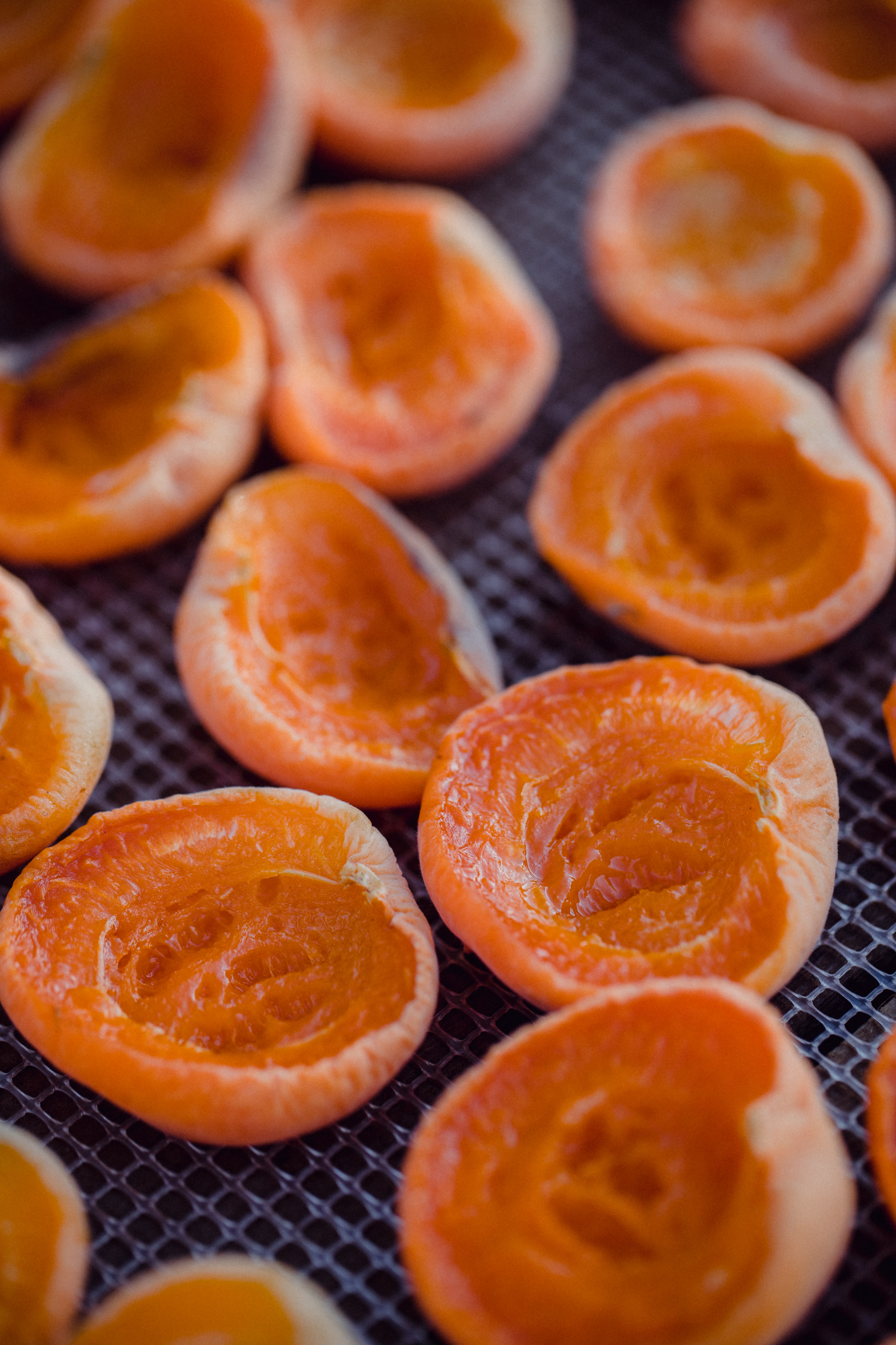 Dried Kashmiri Apricot